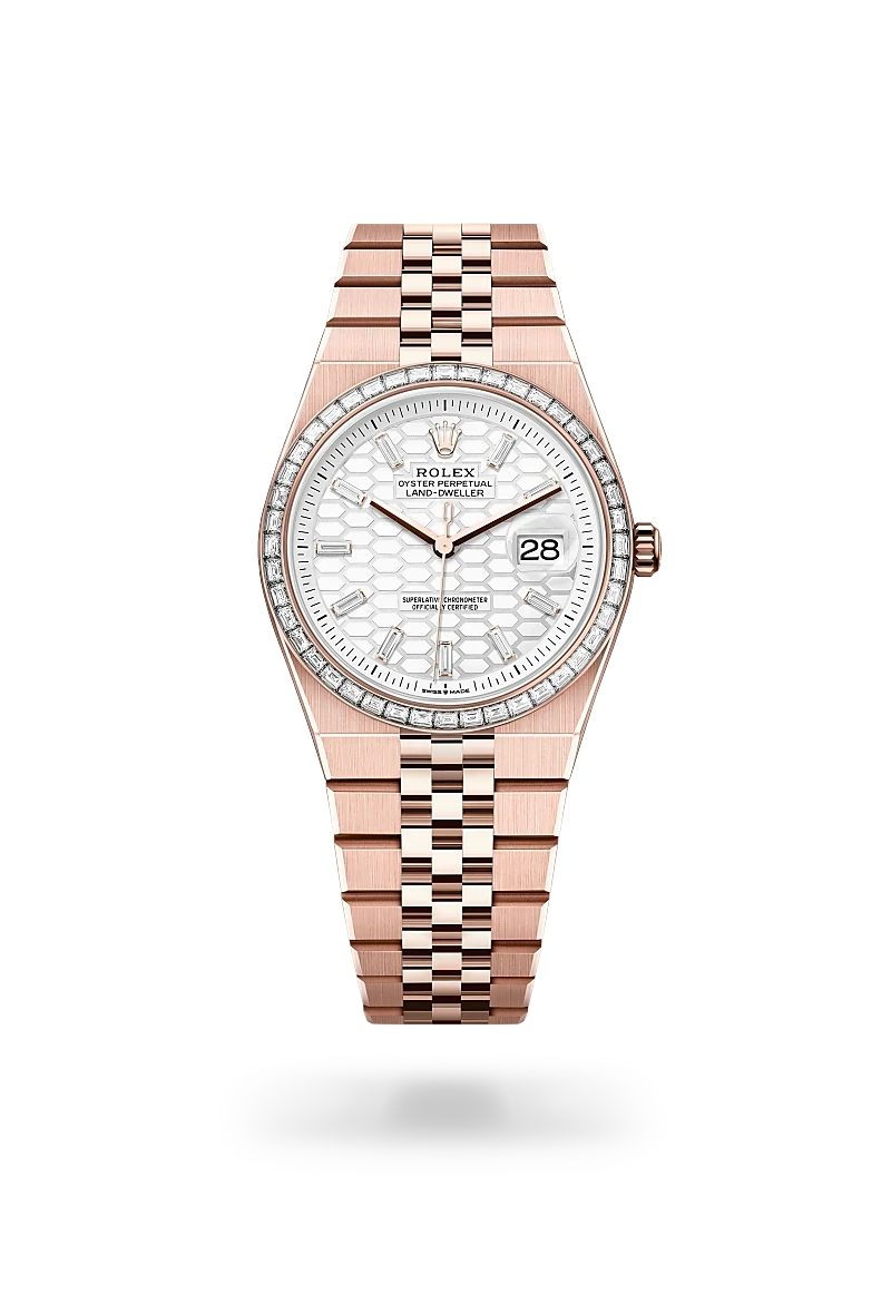 Rolex Land-Dweller 36 in Oyster, 36 mm, Everose gold and diamonds